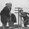 Женщины на рытье акопов 1941 год