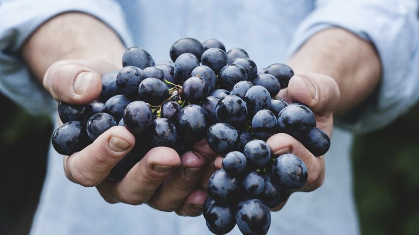 raisin-de-table.jpeg raisin-de-table.jpeg