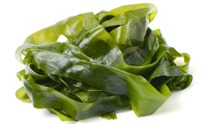 laminaria1.jpg