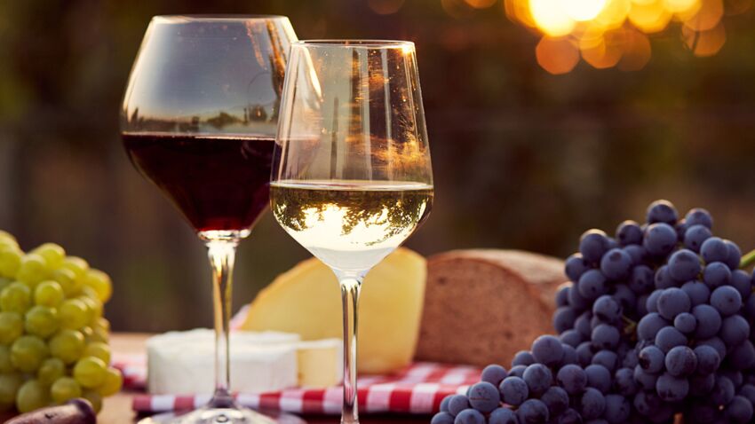 Вина Бордо – знакомство с шедеврами! tout-savoir-sur-le-vin-bio.jpeg