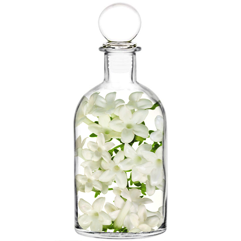 Жасмин: король цветов jasmine-perfume-oil-perfumestars.com_.jpg