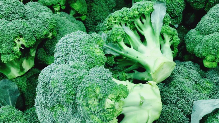 brocoli-decouvrez-ses-vertus.jpeg brocoli-decouvrez-ses-vertus.jpeg