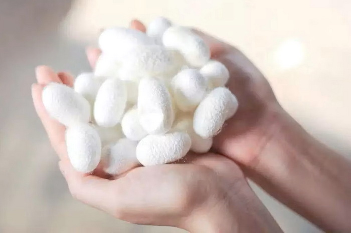 Hydrolyzed-Silk-Protein-Powderi.jpg