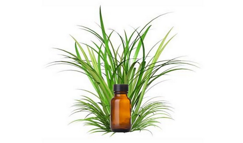 vetiver-oil.jpg