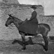 Амазонка, 1905 год