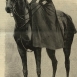 Французский журнал мод, 1901 год